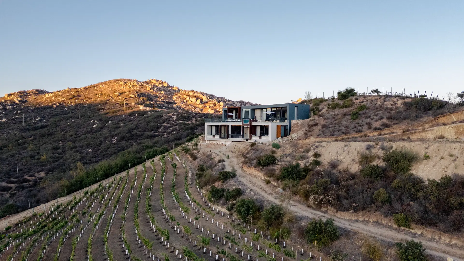Kasa Kefi set into a hillside above rows of young vines at golden hour